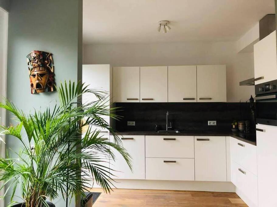Compleet Huis In Nijmegen Apartment Екстериор снимка